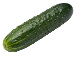 A dark green cucumber with a slightly bumpy texture and a fresh, dewy appearance. png