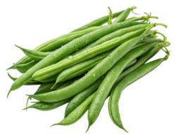 A fresh beans with smooth, vibrant pods and a natural curve. png