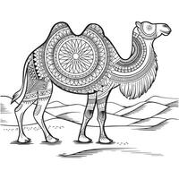 Mandala Camel Intricate Geometric and Floral Patterns for Coloring Enthusiasts vector