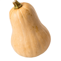 A tan butternut squash with a smooth, matte skin and a bulbous shape. The vegetable is fresh png