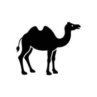 Camel Modern icon vector