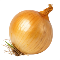 A yellow onion with a papery, skin brown and a fresh root base. png