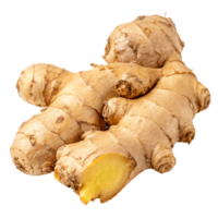 A fresh ginger root with a knobby, tan surface and a textured appearance. png