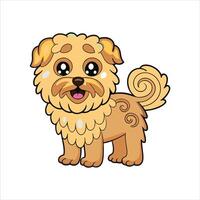 Havanese Color Background vector
