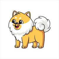 Pomeranian Color Background vector