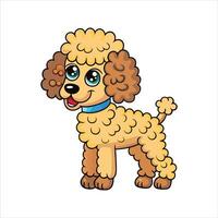 Poodle Power The Smartest Dog in the Room vector