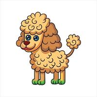 poodle color background vector