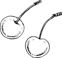 Black and white illustration of two cherries with long stems, drawn in a hand-drawn style. Detailed ink sketch emphasizing organic texture and natural shape, ideal for menu or food design vector