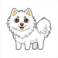 Samoyed Transparent Background vector