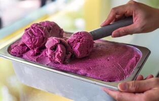 a hand scooping a scoop of Mulberry ice cream into a spoon in fridge photo