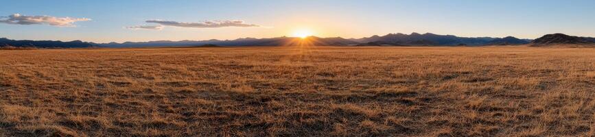 Sunset over a vast golden field with mountains in the background photo