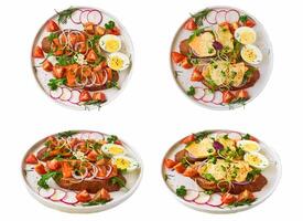 Set or collage of different type of sandwiches on white background with chicken and smoked salmon in side view and top view together photo