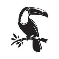 toucan bird on branch illustration vector
