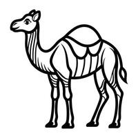 a camel is standing in a line on a white background. vector