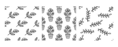 Seamless black and white botanical patterns with leaves and potted plants vector