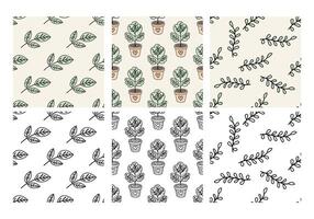 Seamless botanical patterns set with leaves and potted plants in color and monochrome vector