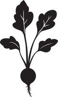 Minimalist black silhouette of a radish in format vector