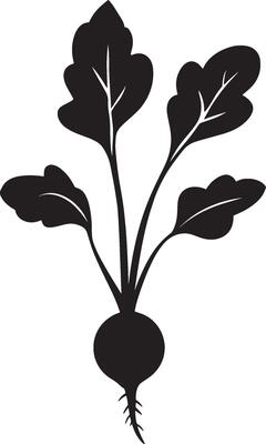 Minimalist black silhouette of a radish in format