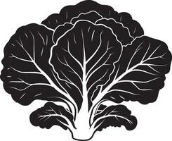 Cabbage simple silhouette black illustration vector