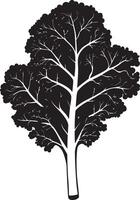 Minimalist black silhouette of kale in format vector