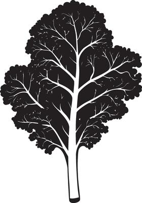 Minimalist black silhouette of kale in format