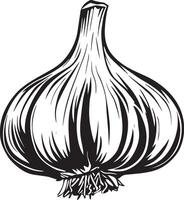 Garlic simple silhouette black illustration vector