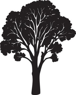 Kale vegetable simple silhouette black illustration