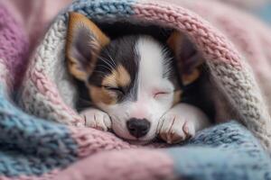 A small puppy wrapped in a soft, colorful blanket rests peacefully with its nose and paws visible. The gentle light creates a serene and cozy atmosphere, perfect for relaxation photo
