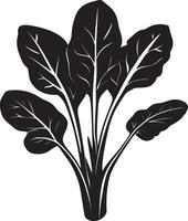 Minimalist black silhouette of spinach in format vector