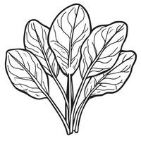 Minimalist black outline of spinach in format vector