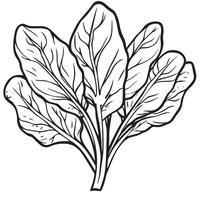Black illustration of a spinach outline vector