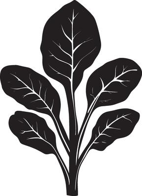 Spinach simple silhouette black illustration