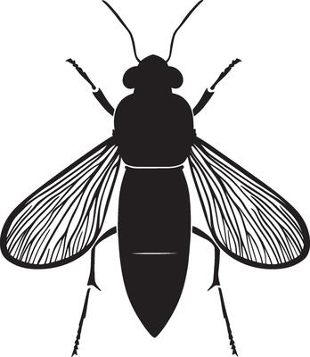 a black and white silhouette of a fly