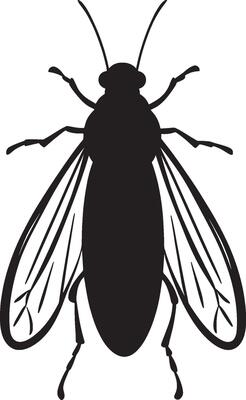 Black illustration of a simple firefly insect silhouette
