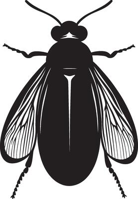 Simple firefly insect icon in black style