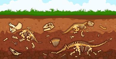 Archeology dinosaur fossil bones in soil layers vector