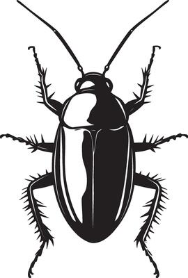 Cockroach outline black illustration