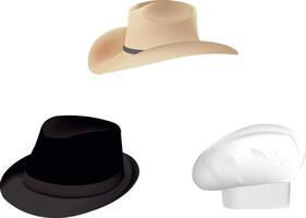 Three hats representing different professions including cowboy, musician or secret agent, and chef vector
