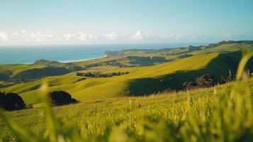 Coastal Green Fields with Ocean View photo