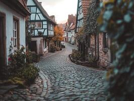 Cobblestone Street in Quiet Village photo