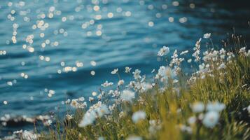 Spring Revival in Coastal Landscape photo
