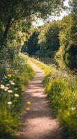 Green Grass Along Riverside Path photo