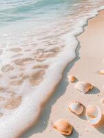 Gentle Waves on Sandy Shore photo