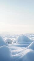 Little Polar Bears Playing in Snow photo