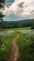 Serene Walking Path through Green Fields photo