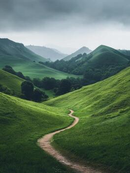 Trails of Tranquility through Green Valleys photo