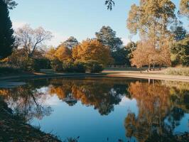 Reflections in Tranquil Pond photo