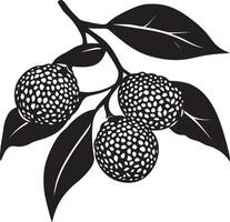 Minimalist black silhouette of a lychee in format vector
