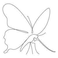 Butterfly continuous single line art drawing of white background vector