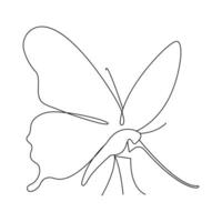 Butterfly continuous single line art drawing of outline simple icon vector